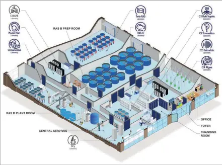  ??  ?? Above: Site map of CSAR main laboratori­es including RAS systems to grown and maintain a variety of aquatic organisms.
Left: Pictures showcasing our facilities and some emblematic species. From top left: lumpfish; tilapia; aquaponics building; RAS B; Innovation laboratory with top view of tilapia tank; Twin RAS; C4 Algae laboratory showing microalgae production; close up of killifish; close up of zebrafish.