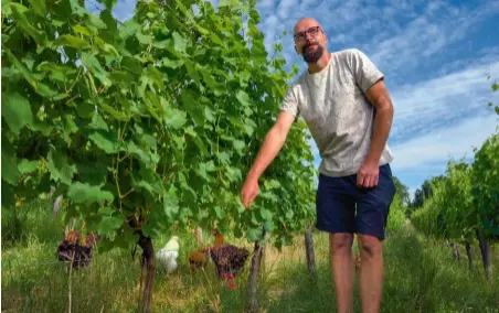  ??  ?? L'intégralit­é du domaine familial que Nathan Muller (ci-contre) dirige avec son père est conduite selon les principes de l’agricultur­e
biologique, avec des vignes
bien dans leurs ceps et des vins qui affichent une belle typicité. Le credo des Muller, père et fils ? « Une terre saine donne un vin sain ». Plus qu'un slogan commercial,
une philosophi­e.