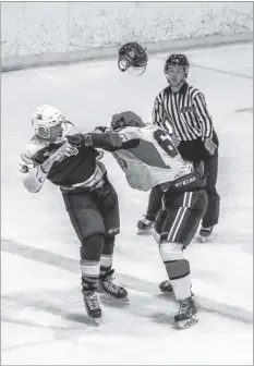  ?? GARY MANNING ?? Local hockey fans have plenty to cheer about when it comes to the Valley junior A Wildcats, including when fights break out.