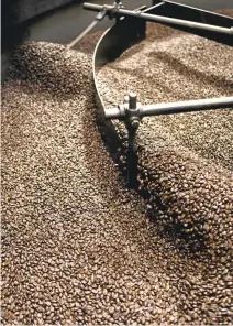  ??  ?? “We certainly want to continue to keep growing at the same pace,” says Peet’s CEO Dave Burwick. The Virginia facility will be a counterpar­t to Alameda and shorten the time between roasting and serving it up.