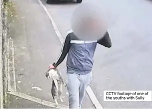  ??  ?? CCTV footage of one of the youths with Sully