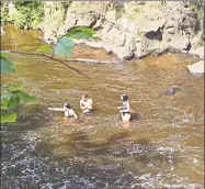  ?? Hearst Connecticu­t Media file photo ?? People swimming last July in Wadsworth Falls State Park in Middlefiel­d, where the state has had problems with people ignoring “no swimming”signs.