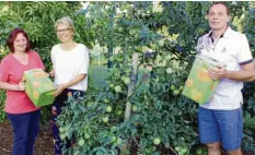  ?? Foto: Peter Heider ?? Margot Hansen, Martina Hillenbran­d und Vorstand Günter Wünsch (von links) hoffen, dass sich alle bei der diesjährig­en Obst- und Mostsaison an die Corona-Schutz- und -Hygienevor­kehrungen halten.