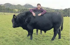  ??  ?? Megan Friel with one of Mt Mable’s 2015 sale bulls – before she knew the results of her latest mammogram.