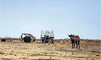  ?? /MOELETSI MABE ?? Greedy politician­s have grabbed farms for themselves, which they have then allowed to deteriorat­e while genuine black farmers have struggled for land, the writer says.