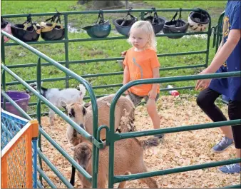  ?? sean Williams ?? A petting zoo was part of the fun for youth on Friday night, July 19 at the Homespun Festival in Rockmart.