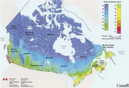  ??  ?? Natural Resources Canada has created the Canadian zone map, outlining the country’s eight climactic zones, ranging from 0 (Nunavut) to 8 (Victoria). Use this map as a guide to choosing the right kind of plants.