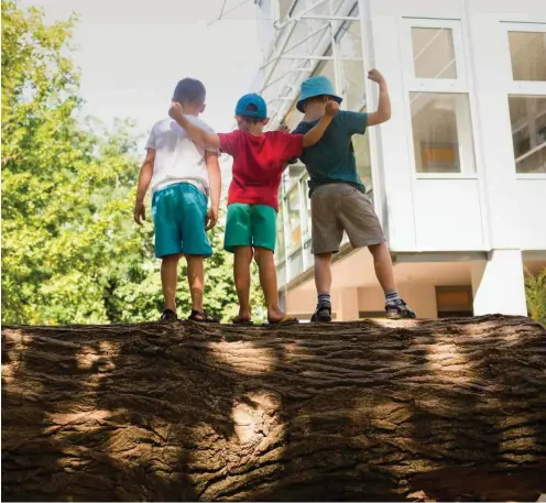  ?? Foto: Kay Herschelma­nn ?? Klettern ganz ohne Kletterger­üst und architekto­nischen Plan: Baumstamm der Kita Berkenbrüc­ker Steig in Berlin-Hohenschön­hausen