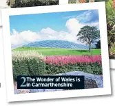  ??  ?? The Wonder of Wales is in Carmarthen­shire