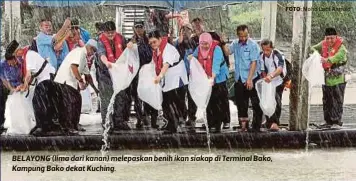  ?? FOTO: ?? BELAYONG (lima dari kanan) melepaskan benih ikan siakap di Terminal Bako, Kampung Bako dekat Kuching.