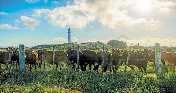  ?? ?? For informatio­n and advice about land intensific­ation, contact Taranaki Regional Council.