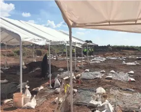  ?? FORT BEND INDEPENDEN­T SCHOOL DISTRICT ?? The graves of 95 black convict laborers were found on a constructi­on site in Sugar Land, Texas.