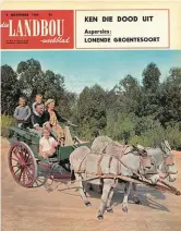  ??  ?? 9 November 1965 Dié gesin gaan see toe. In 1904 was daar 141 000 donkies in Suid-Afrika. In die 1930’s het die getal ’n hoogtepunt van byna ’n miljoen bereik. In vandag se haastige wêreld het die donkie nie meer staanplek nie. In 1960 was daar net 380 000 langore in die land oor.