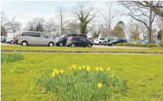  ?? FOTO: DIK ?? Wo es heute nur wenige Blumen und viele Autos gibt, soll es in drei Jahren anders sein, denn im Frühjahr 2021 soll auf der Hinteren Insel die Gartenscha­u beginnen.