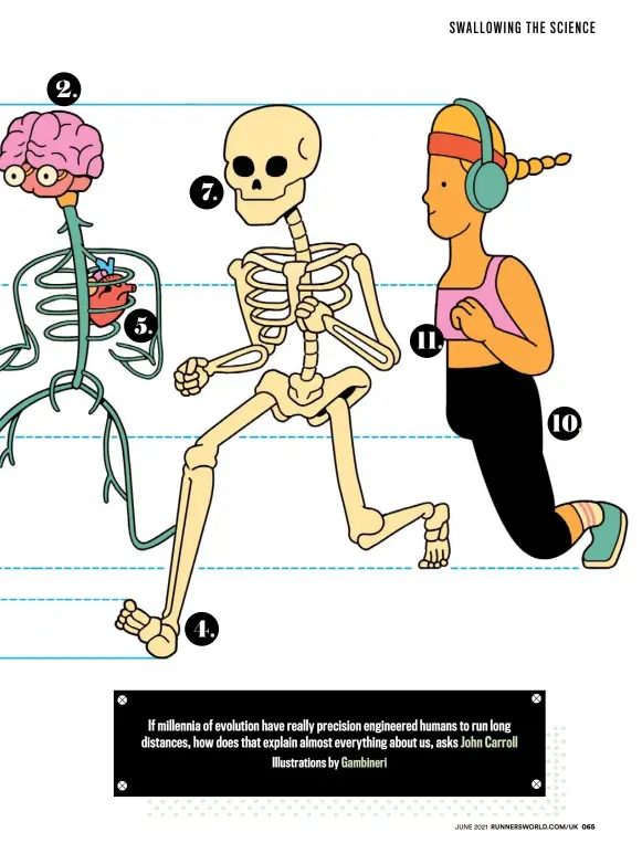  ??  ?? RUNNERSWOR­LD.COM/UK
2.
7.
5.
11.
10.
4.