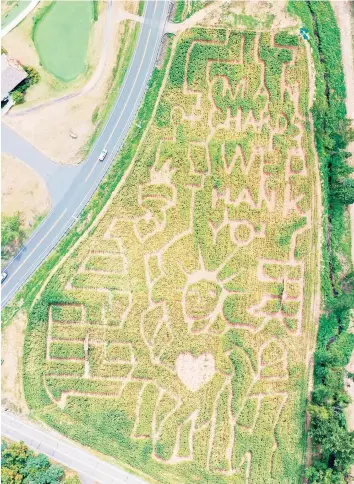  ?? Lyman Orchards / Contribute­d photo ?? Lyman Orchards’ corn maze is one of several throughout Connecticu­t. See Middlefiel­d listing.