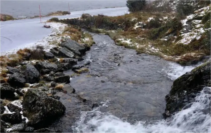  ??  ?? ELVELEIET: I dette området ved Osavatnet skal de døde ha blitt funnet.