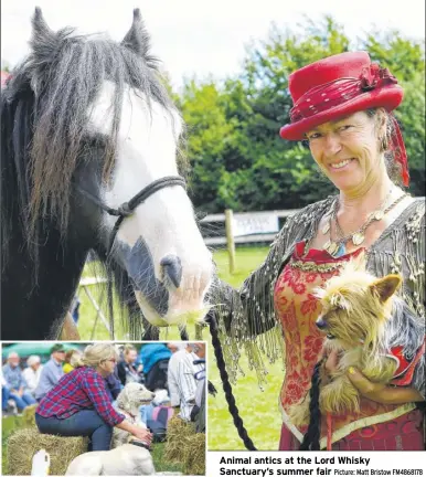  ?? Picture: Matt Bristow FM4868178 ?? Animal antics at the Lord Whisky Sanctuary’s summer fair