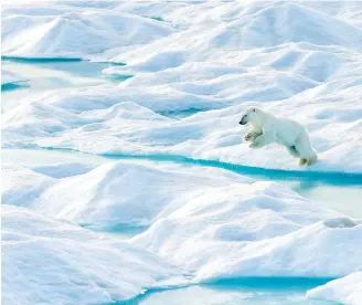  ??  ?? The Qikiqtani Inuit Associatio­n in Nunavut has a plan to save ‘the place where the ice never melts’