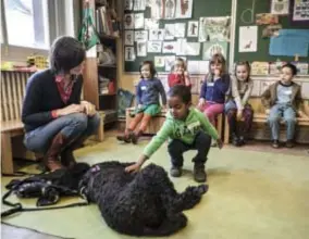  ?? FOTO SARAH VAN DEN ELSKEN ?? Kleuters leren via Stadsbeest hoe ze best met een hond kunnen omgaan.