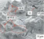  ??  ?? （ a）950 ℃/50 MPa/10 min烧结合金