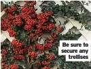 ?? ?? Be sure to secure any
trellises