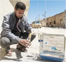  ?? — AFP ?? A Syrian man collects and bags the body of a dead bird, reportedly killed by a suspected toxic gas attack in Khan Sheikhun, in Syria’s Idlib province.