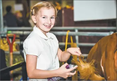  ?? Jennifer Schulten photos ?? Painted rocks, livestock, vegetables, fruit, flowers and children’s crafts and collection­s are part of the more than 1,000 exhibits being entered into competitio­n in the Durham Fair. The event, which is marking 99 years, runs Sept. 27 to 30 at the...