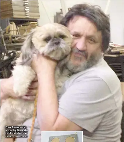  ?? | SUPPLIED PHOTOS ?? Frank Boomer and his rescue dog Gizmo, who cuddled with him after chemo.