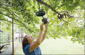  ??  ?? Meredith Bergstrom fills a seed stack feeder. (NWA Democrat-Gazette photos/David Gottschalk)