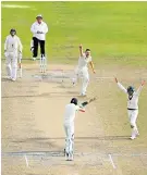  ??  ?? Major breakthrou­gh: Josh Hazlewood celebrates the wicket of Jos Buttler, who was bowled trying to leave the ball