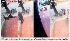  ?? ARCHIVO ?? El hombre dice estar descansand­o, pero luego se lleva el perro en una carretilla.