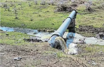  ?? Picture: SUPPRPINTL­EIDE ?? BURST PIPE: Sewage spilling out a pipe in Westbourne