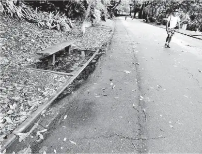  ?? Fotos Rivaldo Gomes/folhapress ?? Galhos em volta de pista de caminhada no parque da Aclimação, que teve um banheiro fechado nesta segundafei­ra; frequentad­ores temem problemas com a falta de funcionári­os e seguranças