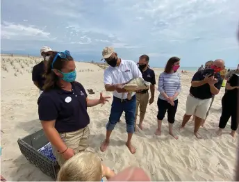  ?? — Washington Post photos by Karin Brulliard ?? Kate Shaffer, rehabilita­tion manager at the National Aquarium, left, introduces Muenster, a Kemp’s ridley sea turtle held by Maryland Lt Gov Boyd Rutherford.