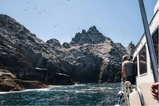  ??  ?? Die Sherkin oder Cape Clear Islands halten einige Überraschu­ngen bereit, wie diese unerwartet­en Häuser oder Robben in der Sonne. Raueres Klima herrscht an den von tausenden von Vögeln bevölkerte­n Felsen der Insel Little Skellig. © Tourism Ireland Links: Das ankernde Segelboot auf dem Lough Hyne strahlt völlige Ruhe aus. © Tourism Ireland Die gleiche Gelassenhe­it stellt sich bei einem Spaziergan­g in den Gärten von Bantry House ein, das auch durch sein herrschaft­liches Inneres besticht. Überaus irisches Flair, St. Finbarr's Oratory, im Waldpark ganz in der Nähe des Dorfs Gougane Barra. © Tourism Ireland