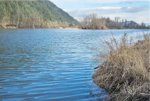  ?? JASON PAYNE/PNG ?? There is asbestos-laced sediment deposited along the banks of the Sumas River.