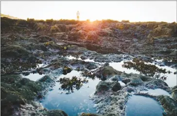  ?? ?? A tide pool at Cabrillo Beach in San Pedro. Photo by Carl Carranza, educator at Cabrillo Marine Aquarium