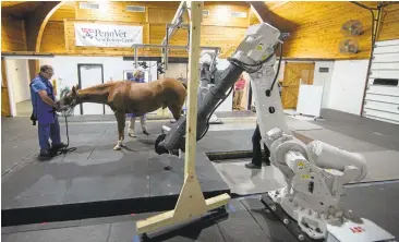  ?? MATT ROURKE/ASSOCIATED PRESS ?? Computed tomography gives pictures of soft tissues that X-rays can’t. While traditiona­l CT requires the subject to be still, this new system compensate­s for slight movement. Eventually, vets hope to capture CT images of a horse running on a treadmill.