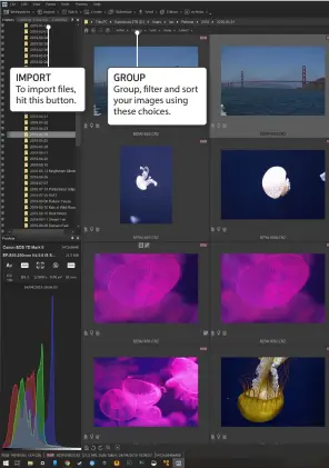  ??  ?? To import files, hit this button.
Group, filter and sort your images using these choices.