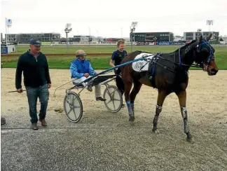  ?? MAT KERMEEN ?? Greg and Ben Hope know there is serious work to be done before Ricky May drives Enghien in the two-year-old Ruby on Saturday.