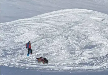  ??  ?? Im Schnee werden Spuren gelegt, die es zu erschnüffe­ln gilt.