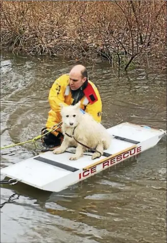  ?? COURTESY CHIEF ROBERT ROSS ?? Sophie, a 9-year-old diabetic and nearly blind dog, is rescued from a stream off Millbrook Road in Middletown by South Fire District firefighte­r Jason Hurlbut on Thursday.