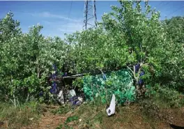  ??  ?? Top A refugee tries to rest, his ‘home’ a patch of grass.
Above Bibi and Sara’s makeshift shelter in the woods