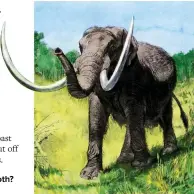  ?? ?? Don’t confuse a mastodon with a mammoth