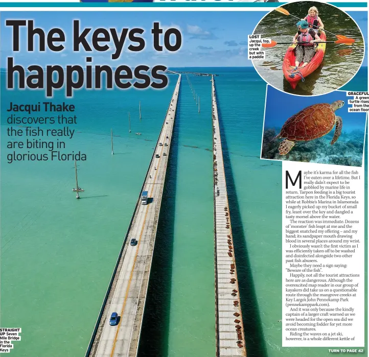  ?? ?? STRAIGHT UP Seven Mile Bridge in the Florida Keys
LOST Jacqui, top, up the creek but with a paddle
GRACEFUL A green turtle rises from the ocean floor