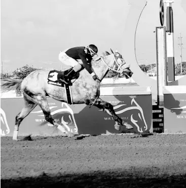  ?? ANTHONY MINOTT/PHOTOGRAPH­ER ?? DUKE, ridden by Dane Dawkins, wins the ninth race over six furlongs at Caymanas Park on Sunday, May 7, 2023.