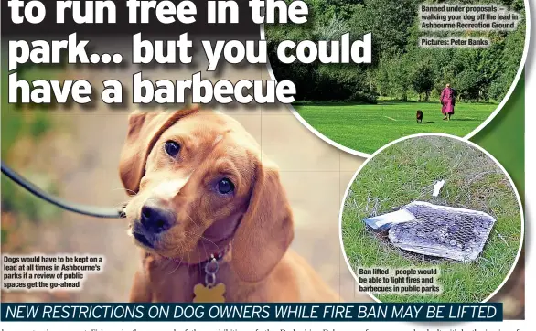  ?? News Pictures: Peter Banks ?? Dogs would have to be kept on a lead at all times in Ashbourne’s parks if a review of public spaces get the go-ahead
Banned under proposals – walking your dog off the lead in Ashbourne Recreation Ground
Ban lifted – people would be able to light fires and barbecues in public parks