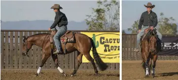  ??  ?? LEFT: A senior performanc­e horse that slows down ages faster than one that keeps moving. Under-saddle work, as well as turnout, provide necessary activity. RIGHT: Schooling of a senior performanc­e horse should be minimal—he knows his job. Focus on...