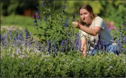  ?? Jim Graham/For The Washington Post ?? Nora Palmer, 21, works at Hershey Gardens in Hershey, Pa. “Everything you do in horticultu­re is wonderful,” Palmer said. “Almost magical.”